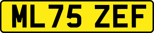 ML75ZEF