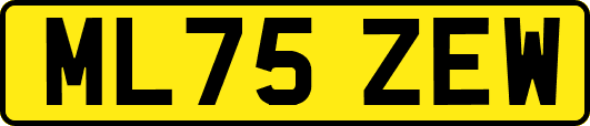 ML75ZEW