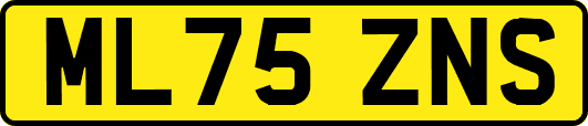 ML75ZNS