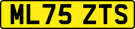 ML75ZTS