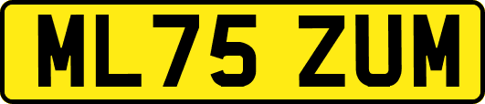 ML75ZUM