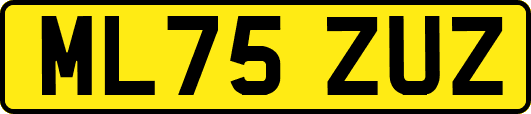 ML75ZUZ