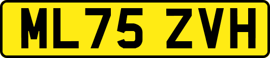 ML75ZVH
