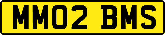 MM02BMS