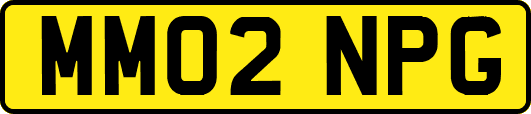 MM02NPG