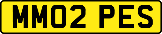 MM02PES