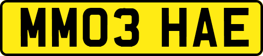 MM03HAE