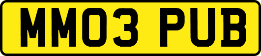 MM03PUB