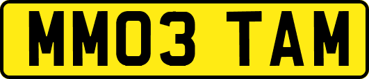 MM03TAM