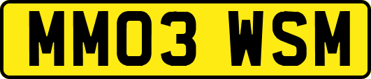 MM03WSM