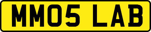 MM05LAB