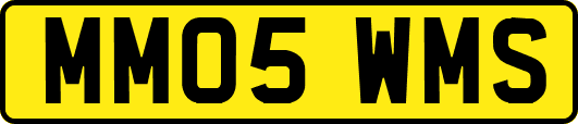 MM05WMS