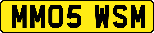 MM05WSM