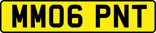 MM06PNT