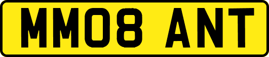 MM08ANT