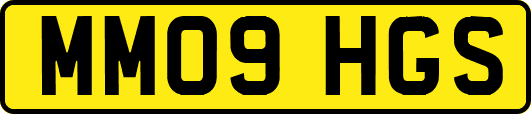 MM09HGS