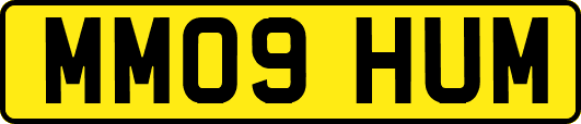 MM09HUM