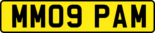 MM09PAM