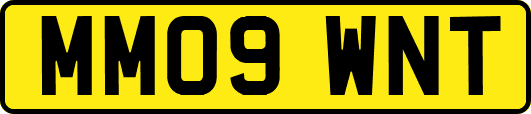 MM09WNT