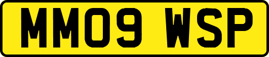 MM09WSP