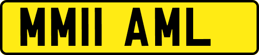 MM11AML