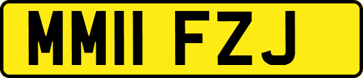 MM11FZJ