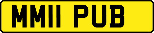 MM11PUB