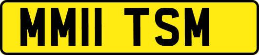 MM11TSM