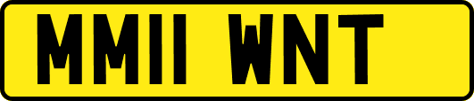 MM11WNT