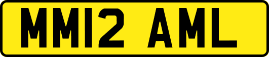 MM12AML