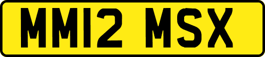 MM12MSX