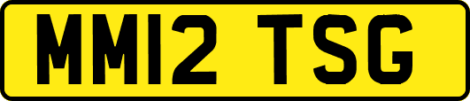 MM12TSG
