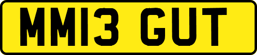 MM13GUT