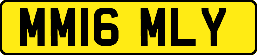 MM16MLY