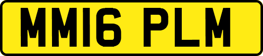 MM16PLM