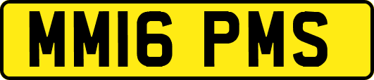 MM16PMS
