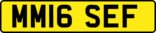 MM16SEF
