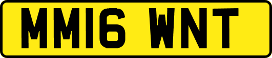 MM16WNT