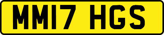 MM17HGS