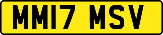 MM17MSV