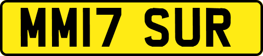 MM17SUR