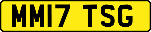 MM17TSG
