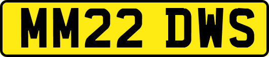 MM22DWS