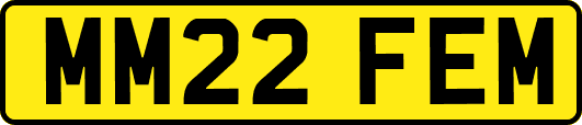 MM22FEM