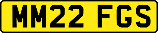 MM22FGS