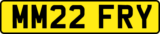MM22FRY
