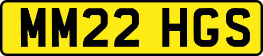 MM22HGS