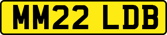 MM22LDB