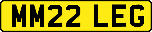 MM22LEG
