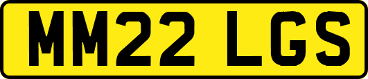 MM22LGS